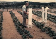 Dr Hillel introduces drip irrigation and tensiometry in Japan, 1971